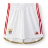 Benfica Hjemme Football Shorts 23/24